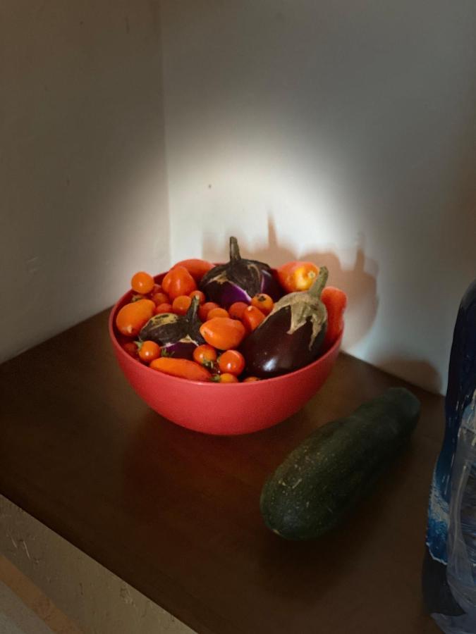 הוילה צ'פאלו Marisa'S House מראה חיצוני תמונה